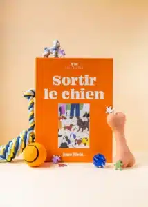 JourFerie-Sortirlechien-1000pieces_720x